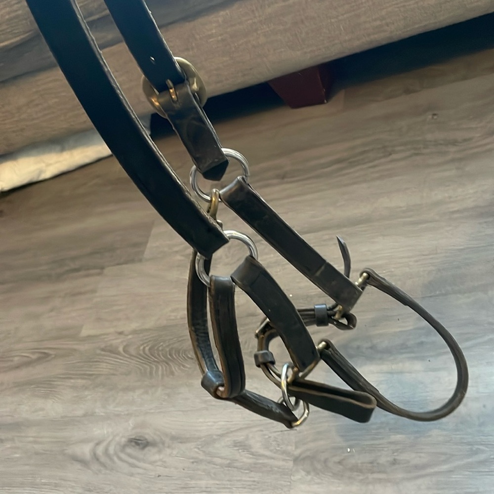 Leather Halter
